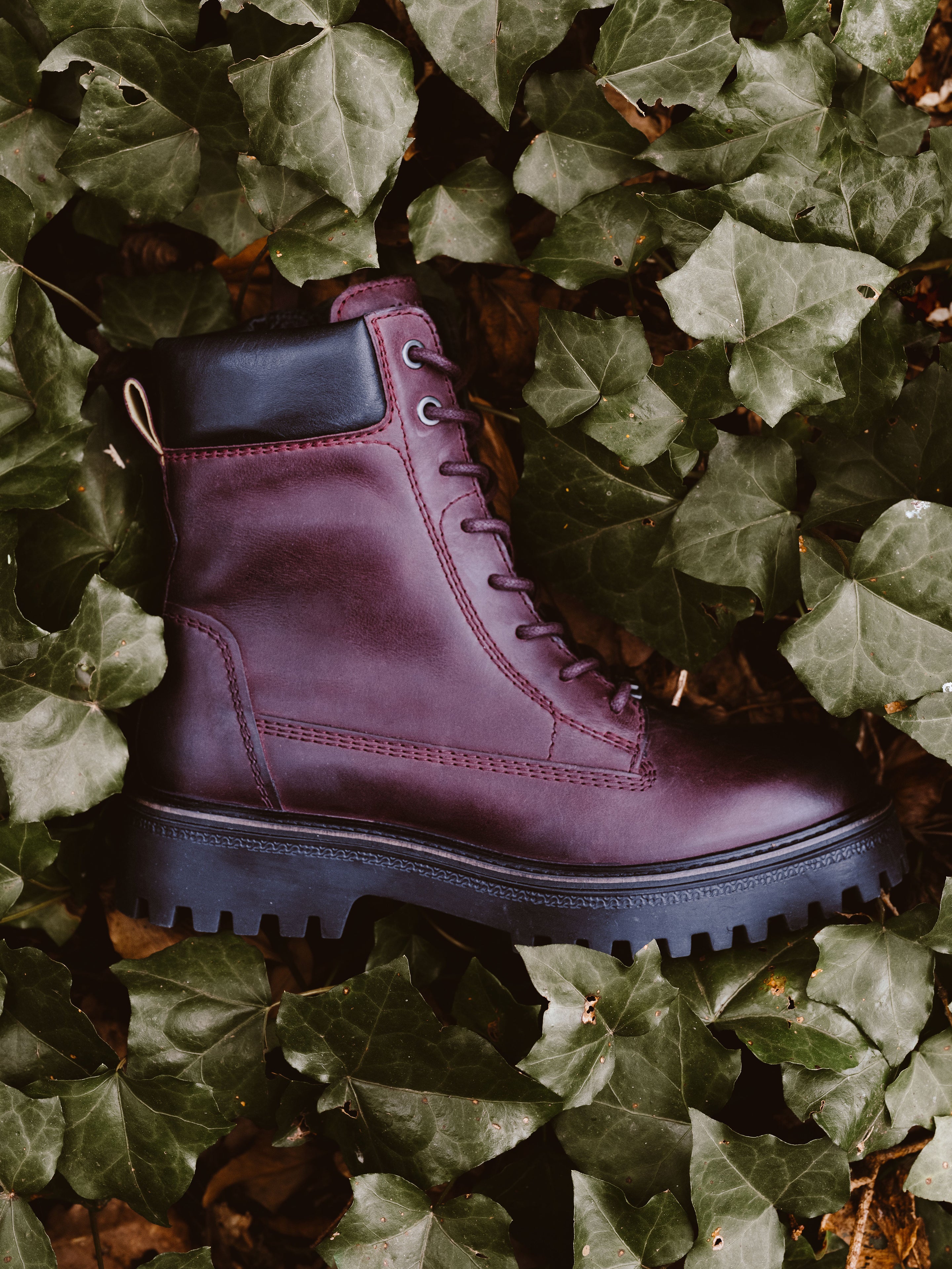 Leder Schnürstiefelette Bordeaux/Schwarz - Image 3
